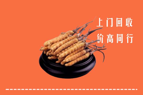 高价求购：慈利县回收散虫草