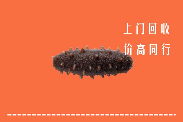 慈利县高价回收海参