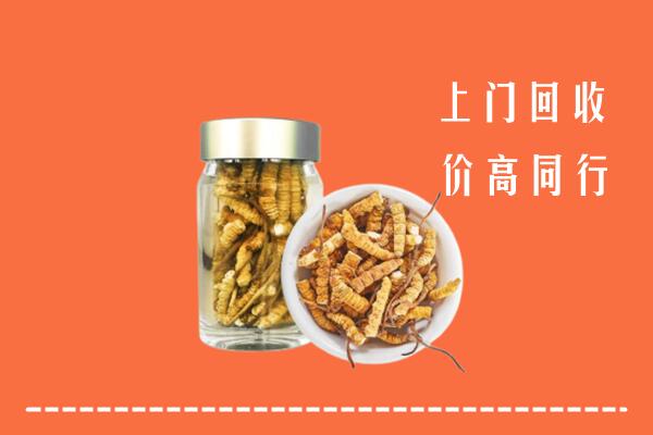 慈利县回收冬虫夏草